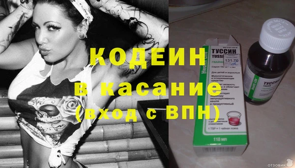 прущие крисы Заводоуковск