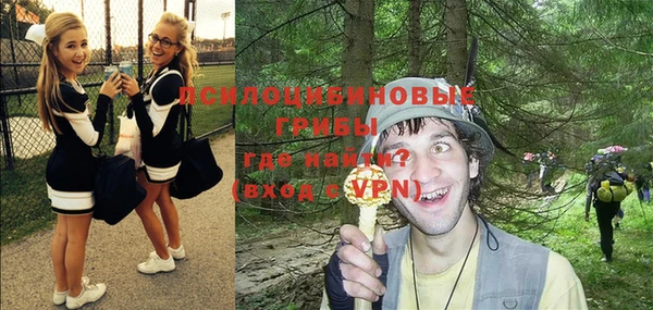 гидра Заволжск