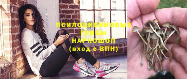 эйфоретик Зерноград