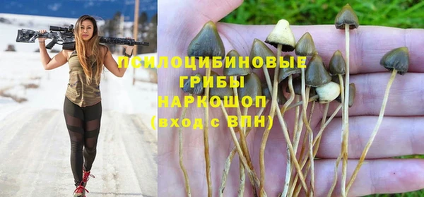 гидра Заволжск