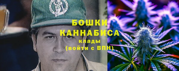 гидра Заволжск