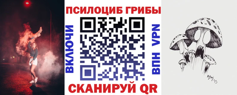 Купить где  Димитровград  Галлюциногенные грибы Magic Shrooms 